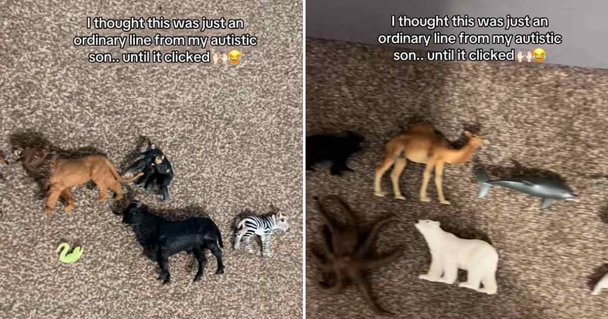 Screenshot of the toy animals lying in a straight line. (Cover Image Source: TikTok | @cleaningwithhan_)