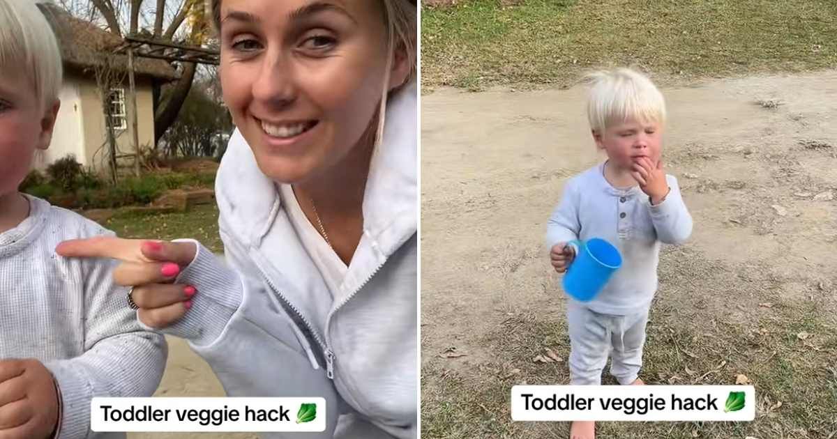 The mom showing what worked for her as a veggie hack. (Cover Image Source: TikTok | @thehowdenfamily)