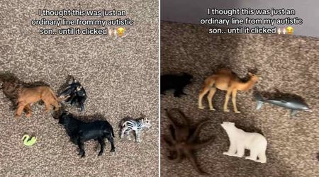 Mom thinks her autistic son is simply playing with toy animals — soon she spots the genius behind it