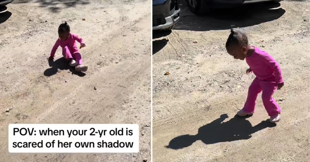 Toddler terrified of her own shadow. (Cover Image Source: TikTok | @theafrolatinfamilia)